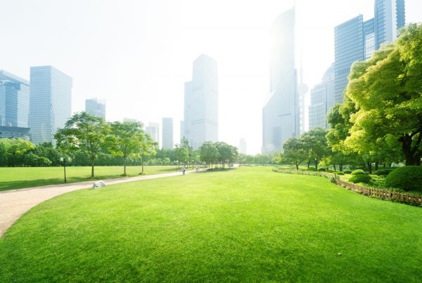 Commercial Landscape Maintenance in Sun Prairie