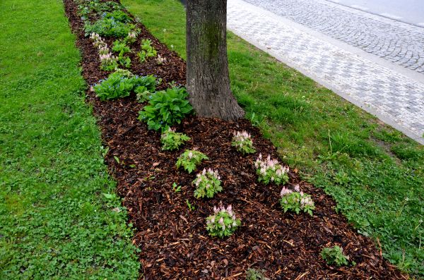 Mulch Replacement Service in Sun Prairie