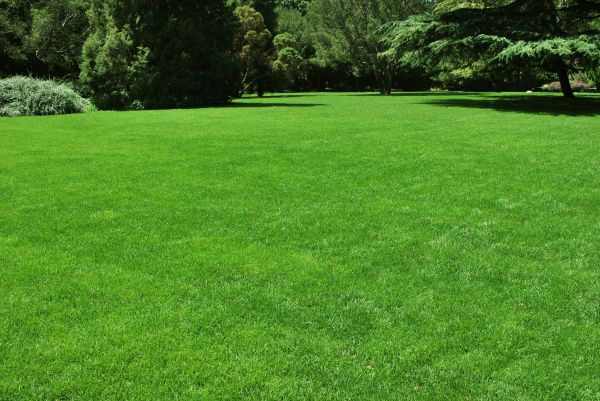 Lawn Landscaping in Sun Prairie