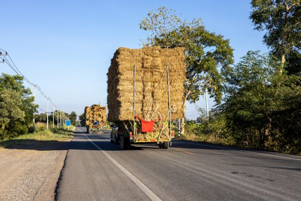 Pine Straw Delivery in Sun Prairie
