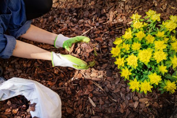 Garden Mulching in Sun Prairie