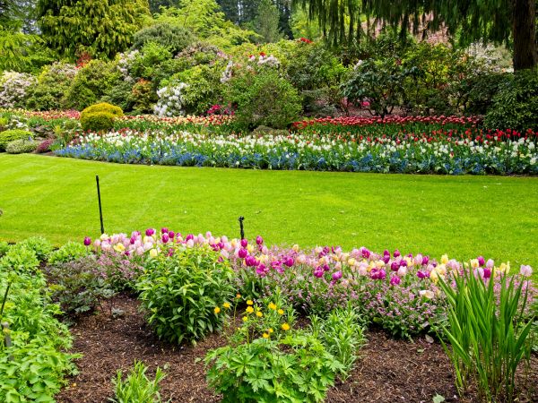 Residential Landscape Design in Sun Prairie