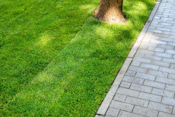 Border Stone Installation in Sun Prairie