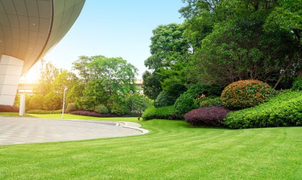 Business Landscape Design in Sun Prairie