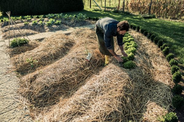 Straw Mulching Service in Sun Prairie
