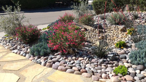 Xeriscape Landscaping in Sun Prairie