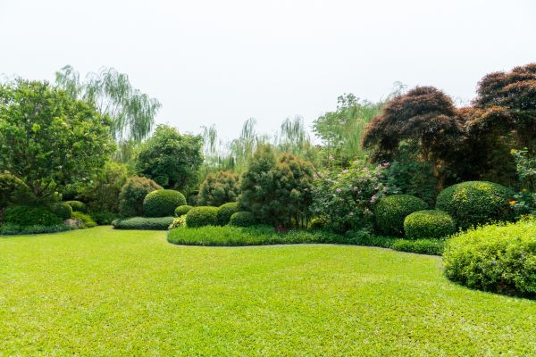 Tree Landscaping in Sun Prairie