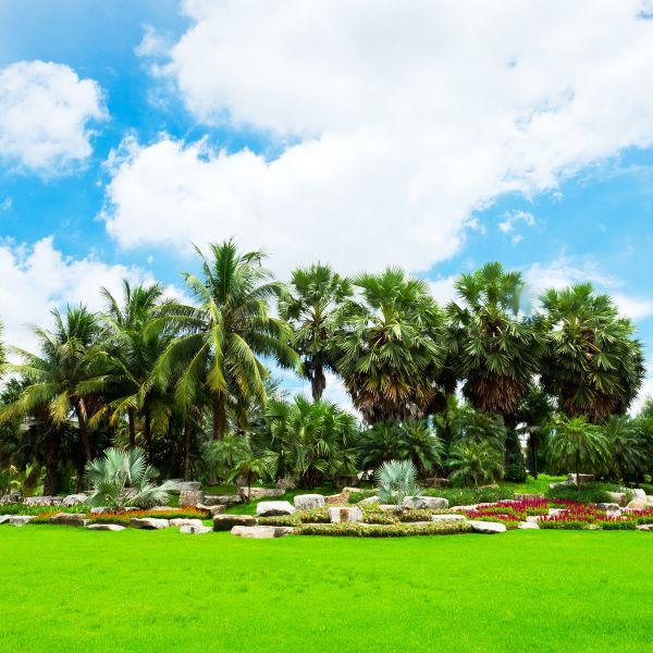 Tropical Landscaping in Sun Prairie