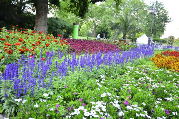 Perennials Planting in Sun Prairie