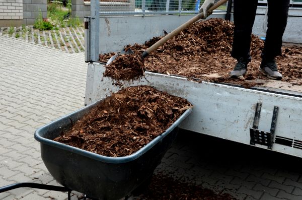 Cypress Mulch Delivery in Sun Prairie