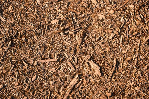 Wood Chips Removal in Sun Prairie