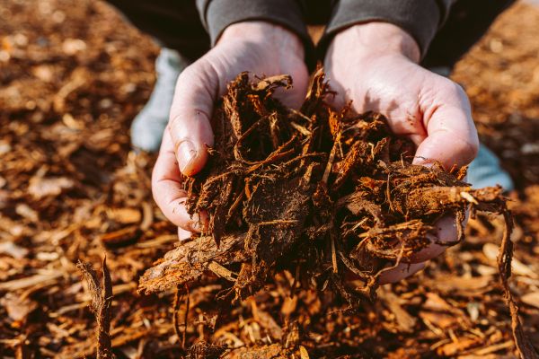 Bark Chips Delivery in Sun Prairie