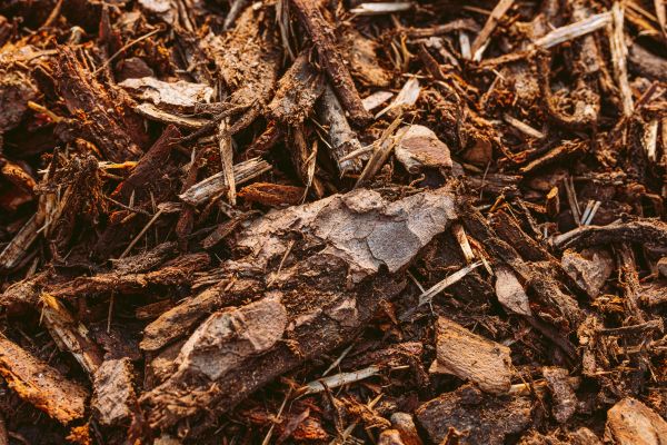 Bark Mulch Delivery in Sun Prairie