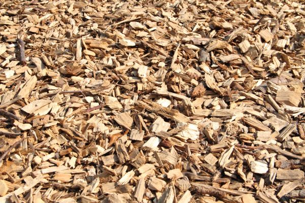 Wood Mulch Delivery in Sun Prairie
