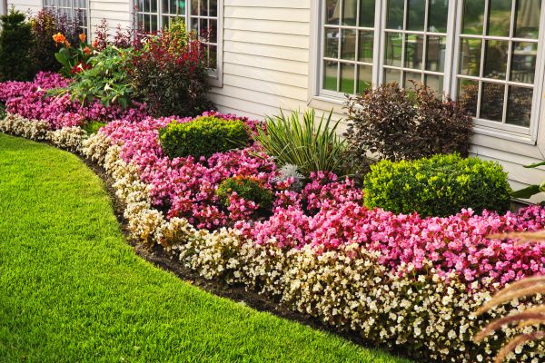 House Landscaping in Sun Prairie