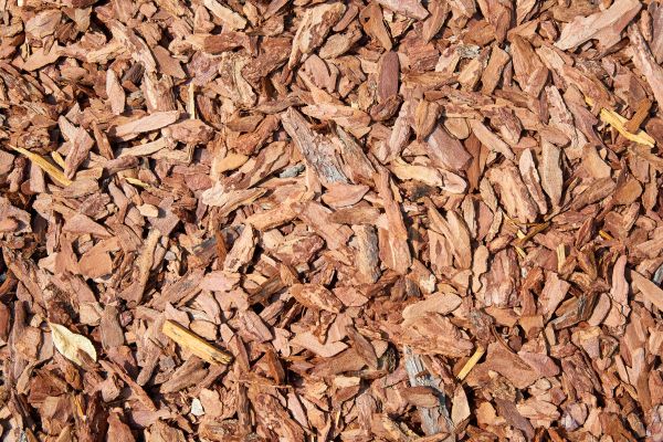 Pine Mulch Delivery in Sun Prairie