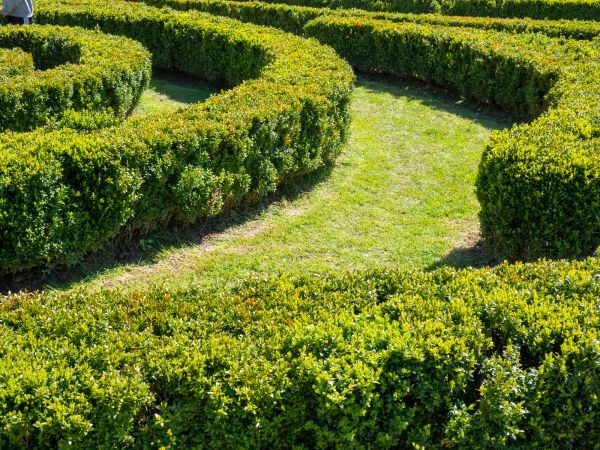 Bush Landscaping in Sun Prairie