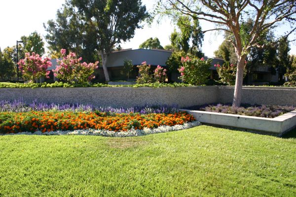 Commercial Landscape Service in Sun Prairie