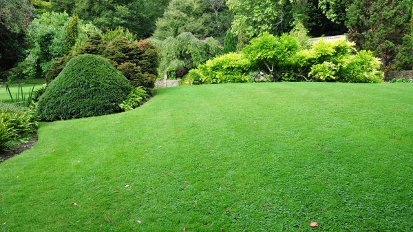 Commercial Landscape Design in Sun Prairie