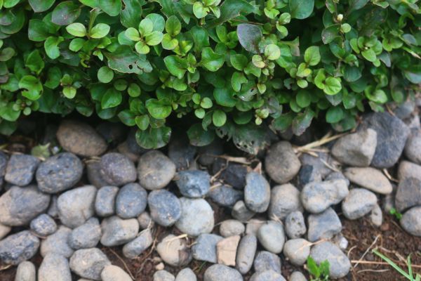 River Stone Installation in Sun Prairie