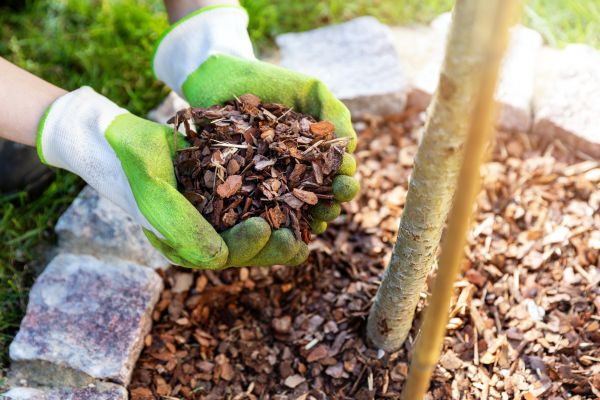 Tree Bark Delivery in Sun Prairie
