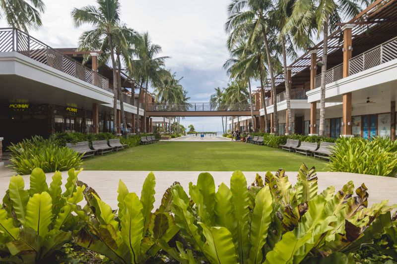 Commercial Lawn Renovation