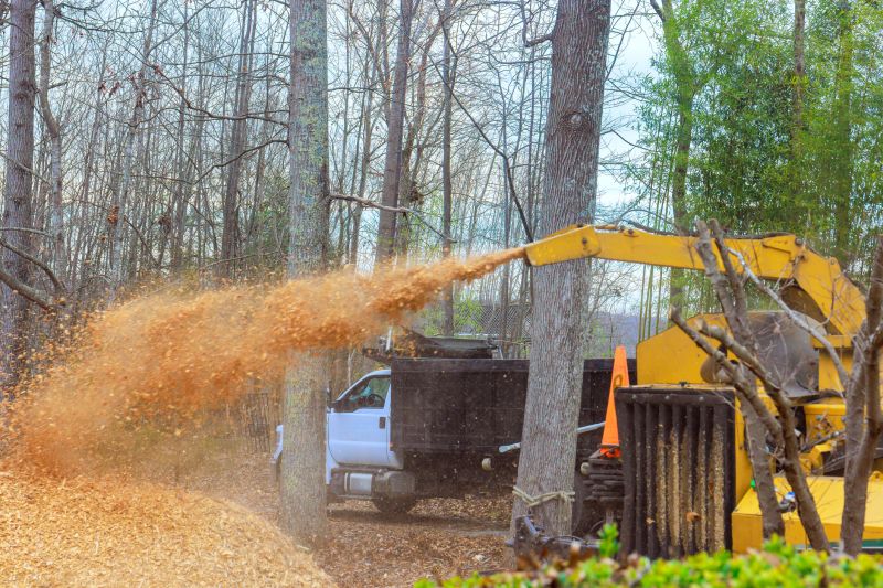 Wood Chips Removal